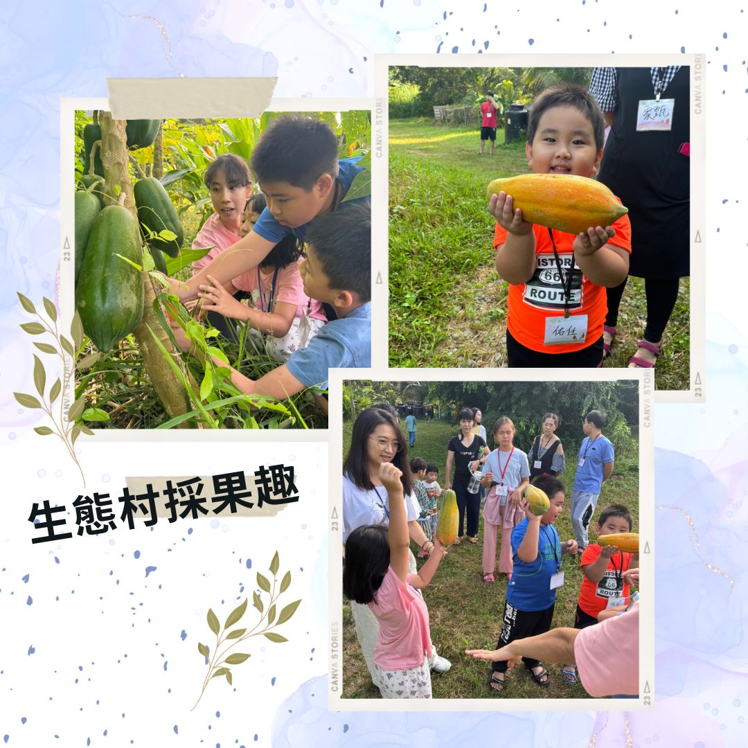 探索自然活動一