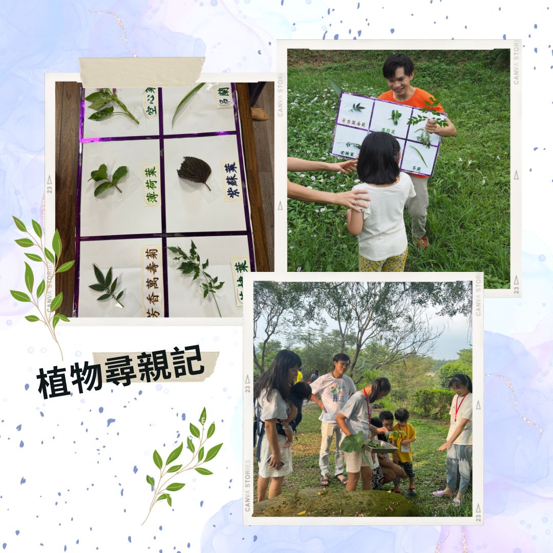 探索自然活動二