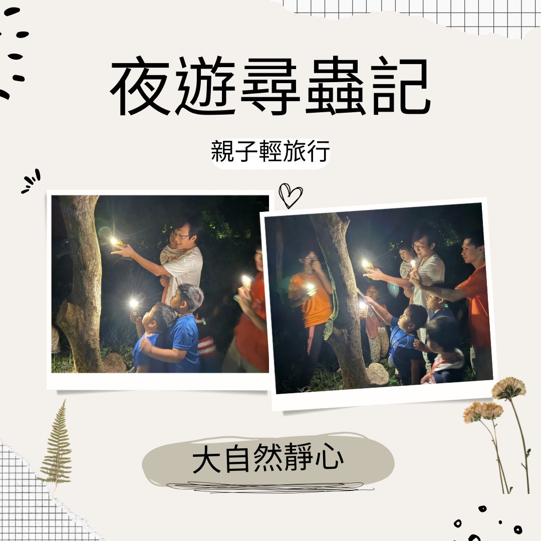 探索自然活動三