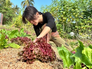 image_6483441 - 2026-01-29T125651.990